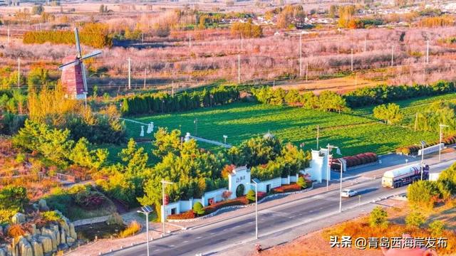 走不出这画了，我已被西海岸的秋景迷倒 🥹