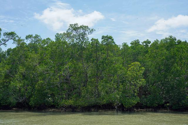 马来西亚新山 · 龟咯渔村｜把生活过成海风味的地方
