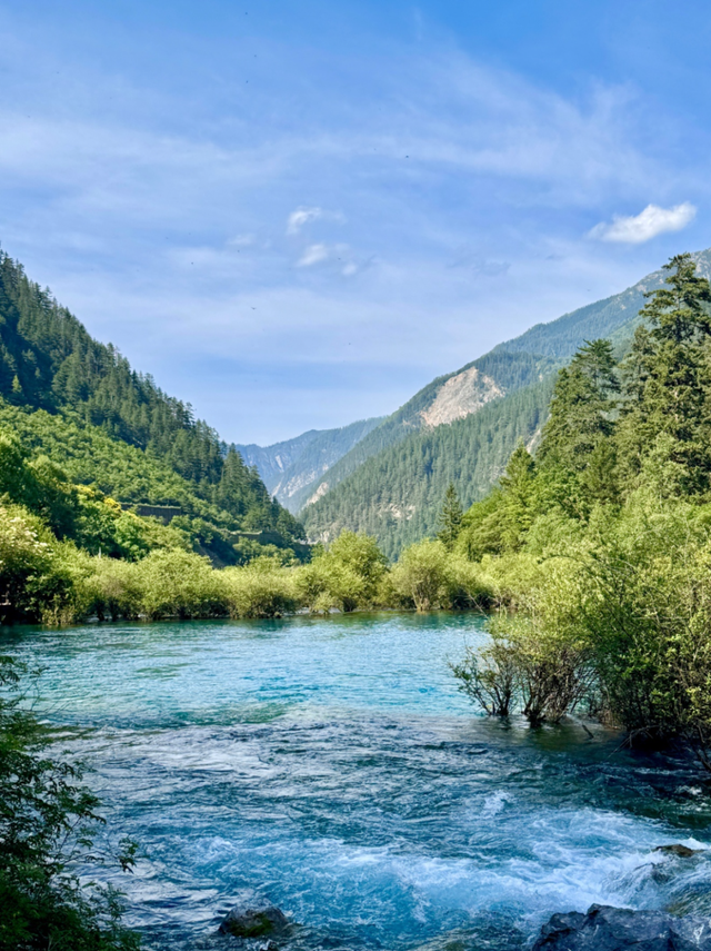 海子映山，绿意漫岸，九寨沟牌“净化器”已上线~