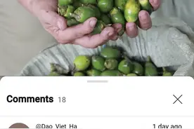 越媒：中国商人高价购买槟榔之后停止购买。给农民造成严重后果！图片