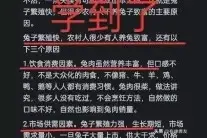 兔子繁殖快!为啥不靠养殖兔子来创业？网友的回答现实又扎心！图片