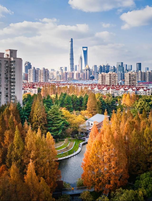 上海人厉害了!比“纽约中央公园”更好的公园,在上海出现了!