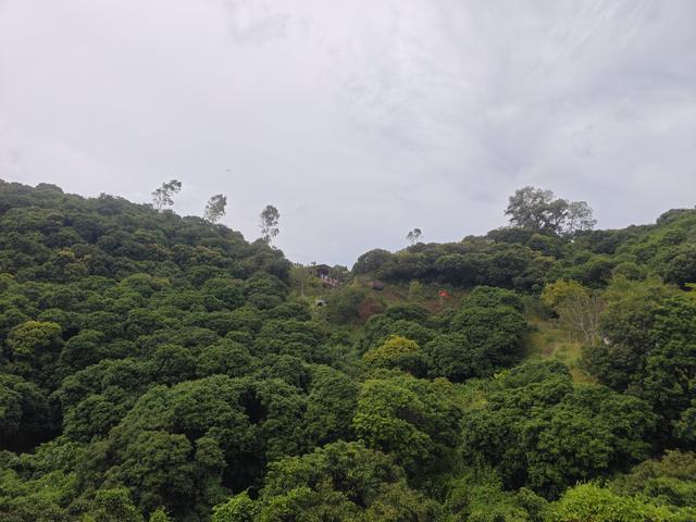 西丽湖国际科教城绿道高清随拍