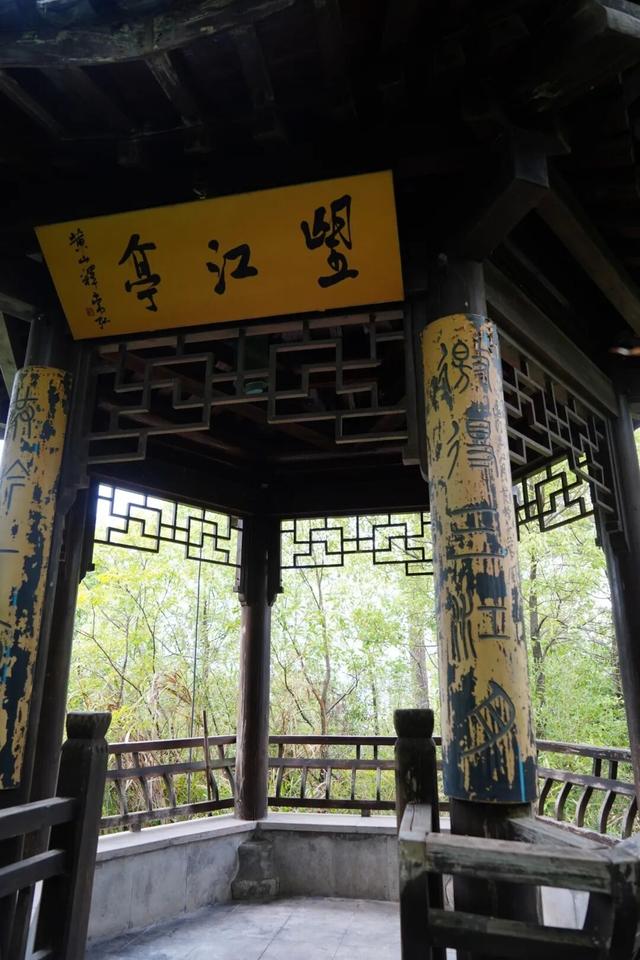 黄山治愈系打卡！20 分钟公园漫游，和“班味”说拜拜 | 皖美冬日 | 第十五届安徽国际文化旅游节