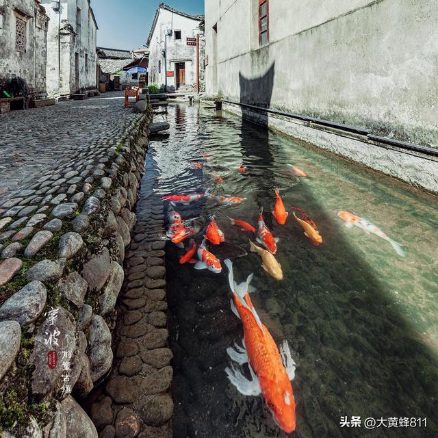 认识大美浙江的每个县——第四波：宁海