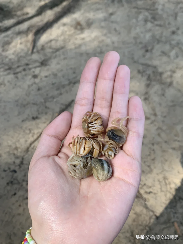 儋州：藏在海南西海岸的隐秘明珠