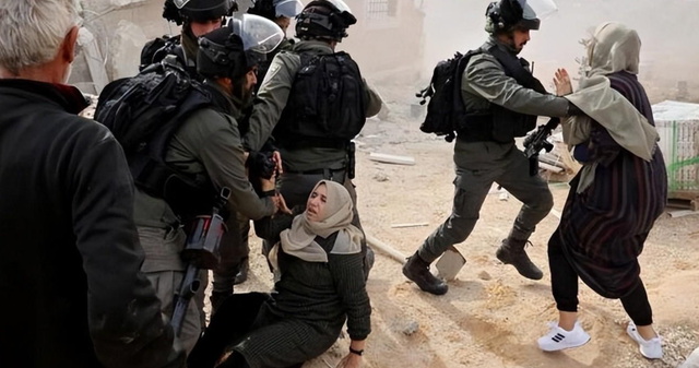 巴勒斯坦七旬农民橄榄林被毁，真相曝光，令人心寒