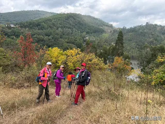 徒步武定香水箐，赏野草香飘、听溪流淙淙，徜徉绿水青山中，惬意