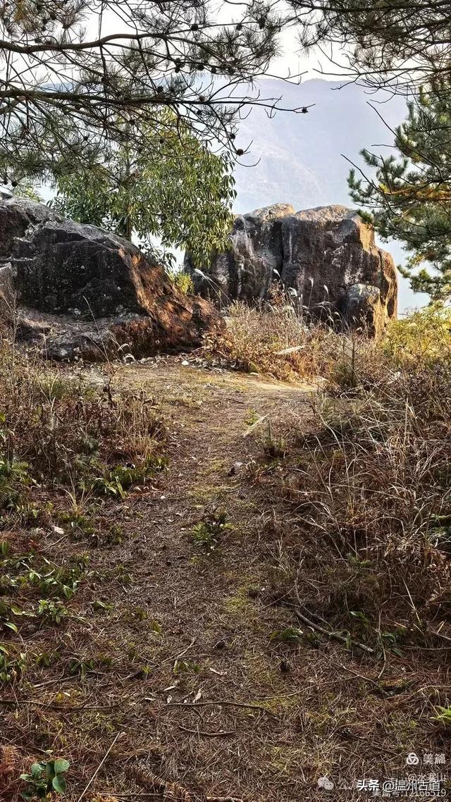 别名叫“凉村”，常年云雾缭绕！