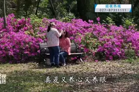 美爆！武汉这一打卡地火了！就在市中心图片