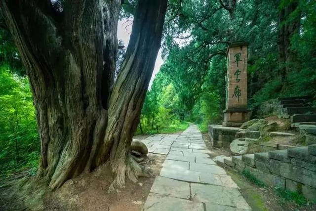坐高铁游广元！国际文旅新地标，剑门关与翠云廊的“出道”方式！