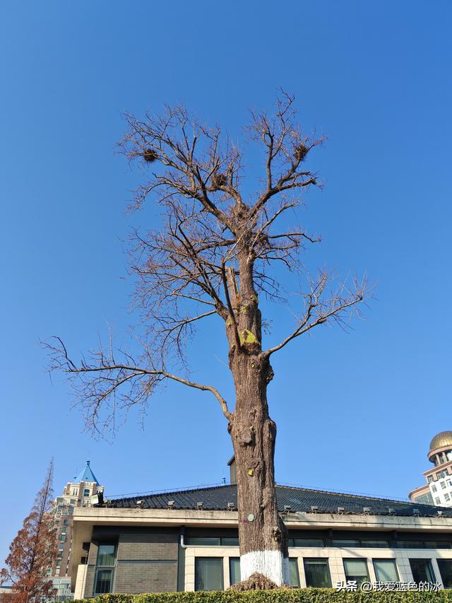 参观南通的中国第一座公共博物馆——南通博物苑，距今120年