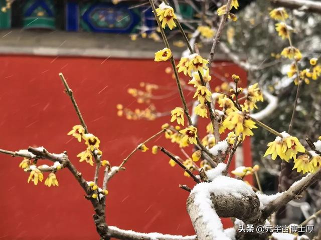 北京下雪后天寒地冻数九寒天大雪小雪冬至又一年注意保暖