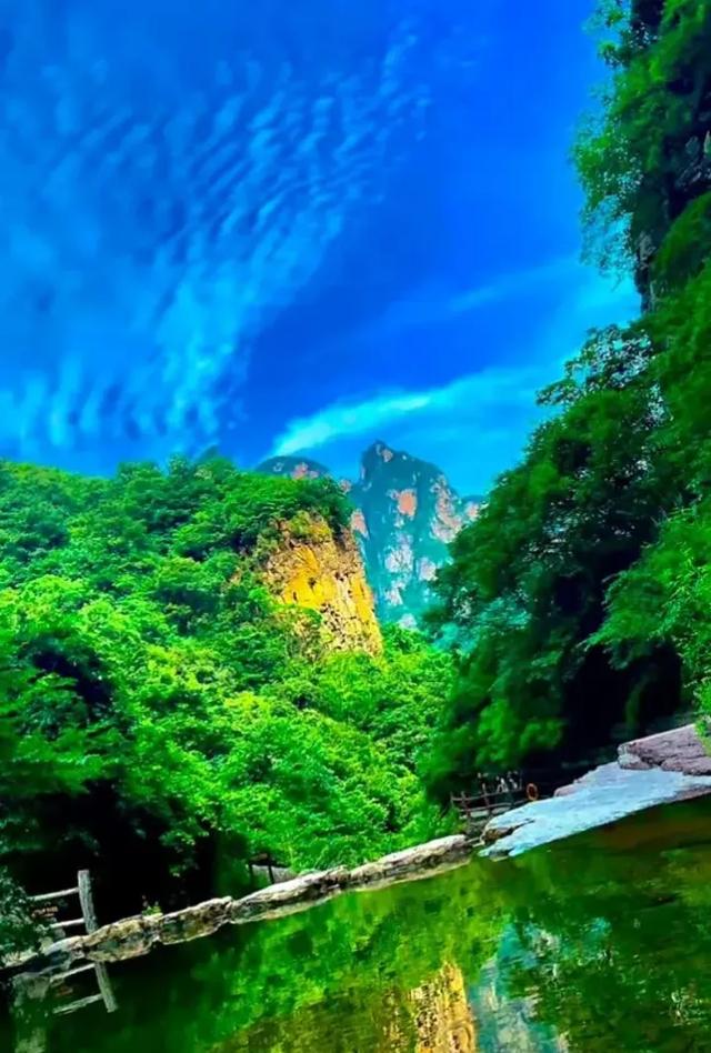 干净漂亮的手机壁纸