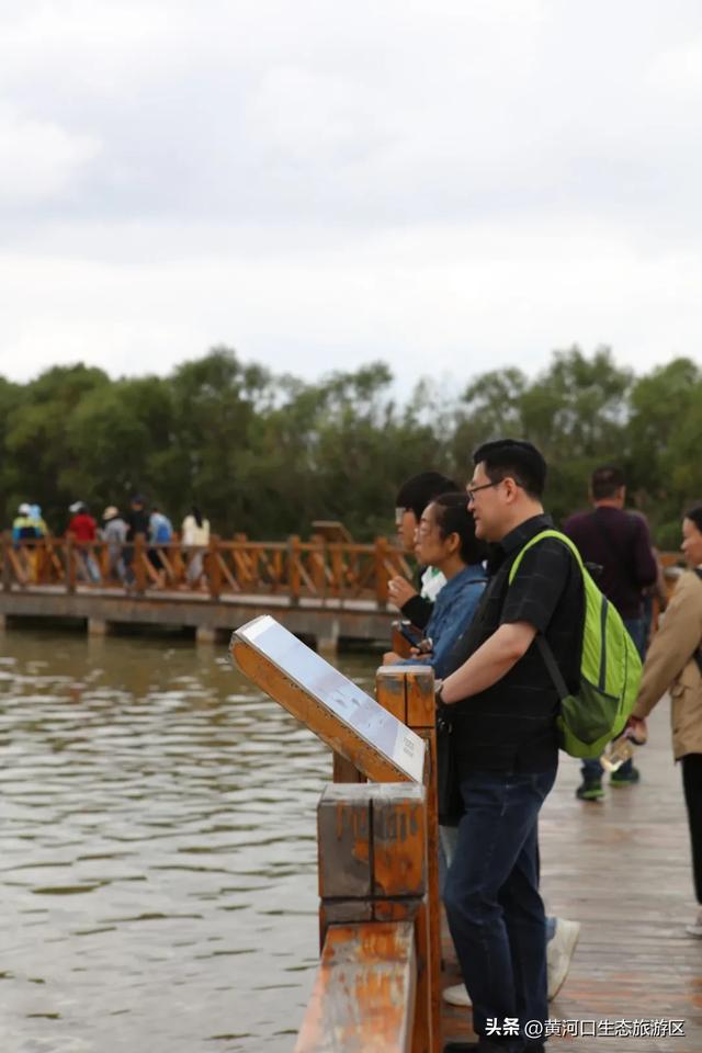 【情满双节游东营】黄河口生态旅游区 开启“人从众”模式 国庆精彩持续上演