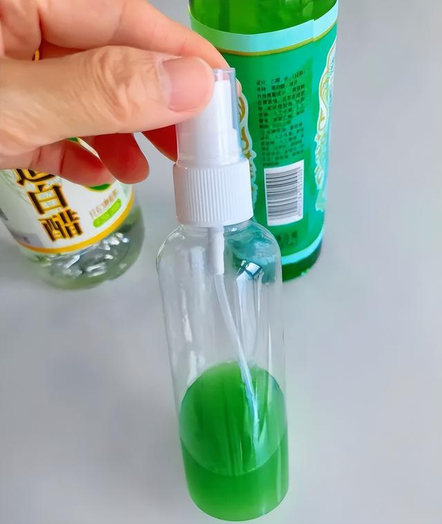 家里到处都是小飞虫？教你简单3招，不到半小时就能全部消灭