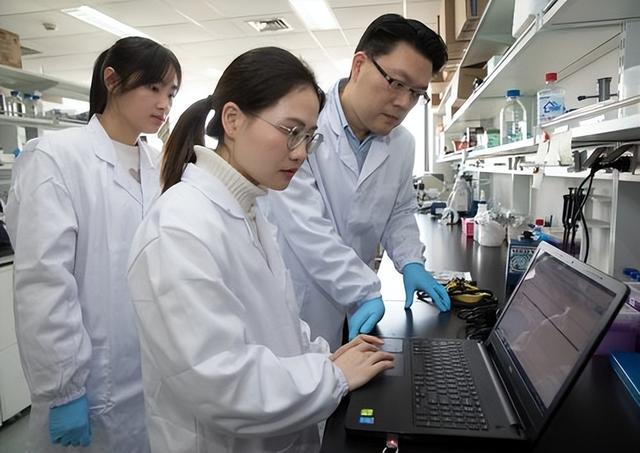 中国团队颠覆传统！用AI重塑安全防线，打造"永不疲倦"预警系统