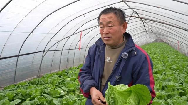 29岁儿子突发心梗离世，家里上万斤蔬菜滞销！浙江60岁大伯绝望痛哭，短短一天后……