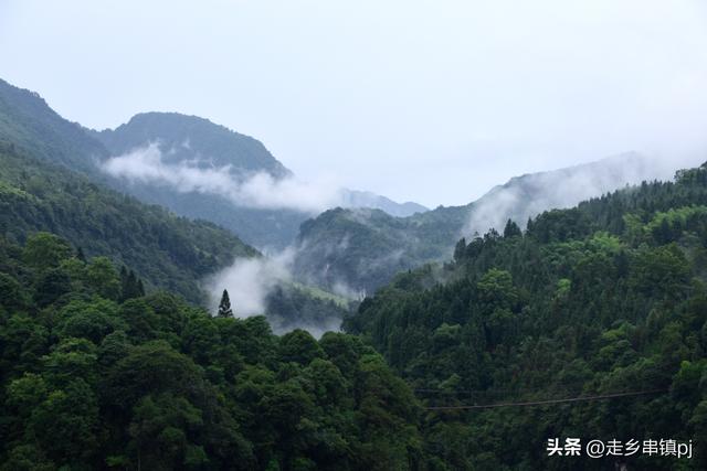 实话实说“大川”印象