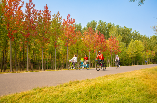 我捡，我捡，我在潍坊捡捡捡！