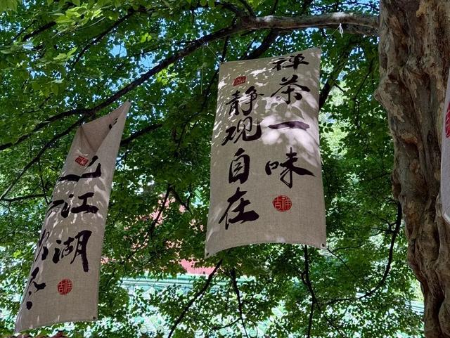 济南市区1h直达的绿野仙踪！古树浓荫+山泉清冽+拍照天堂，一脚踏进21°C的夏天！
