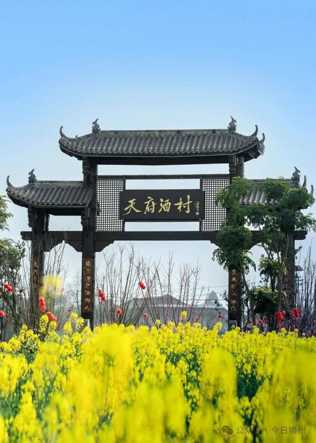 保护规划获批，崇州这个历史文化名村将有新动作！