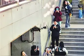 山西博物院附近一处盛放的杏花林火爆出圈 引来众人打卡图片