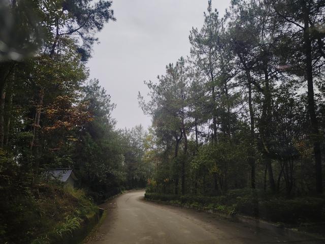 南行漫记：汉中南郑区到巴中恩阳区，9小时233公里的行走路书