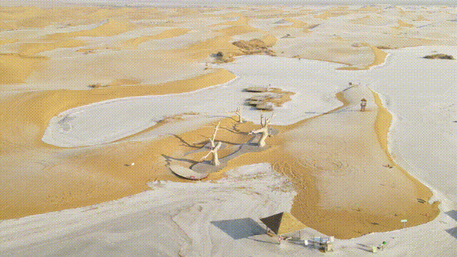 2026马年“天选游客”：你好，内蒙古VIP通道已开启！