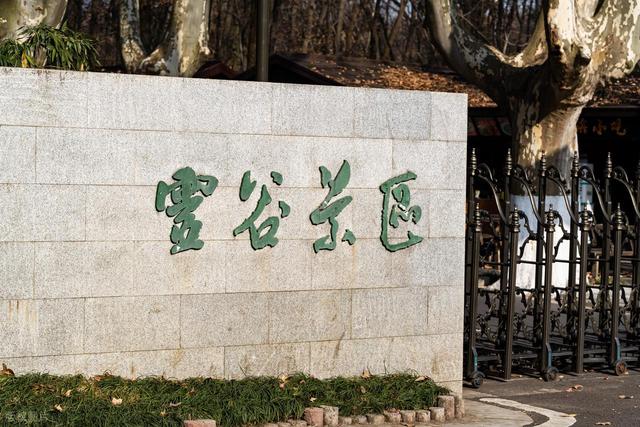 石象路银杏黄了！秋日南京必走的几条经典路线