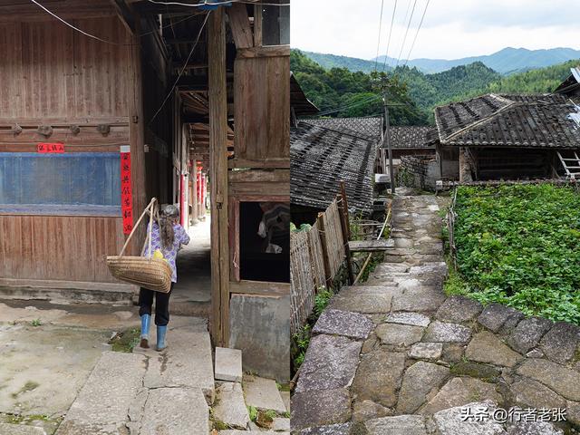 走遍福建古村落，罗源狮子峰下，四百年畲族古村，蓝姓家族发源地