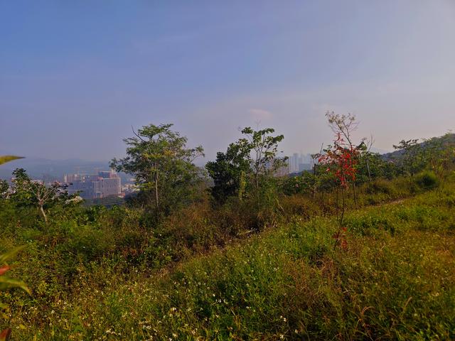 塘朗山郊野公园火车道口与绿平二路段，爬坡酸爽，骑友的天堂
