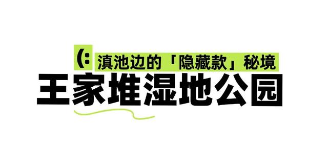 昆明秋日宝藏公园，每一个都“美到心巴”！