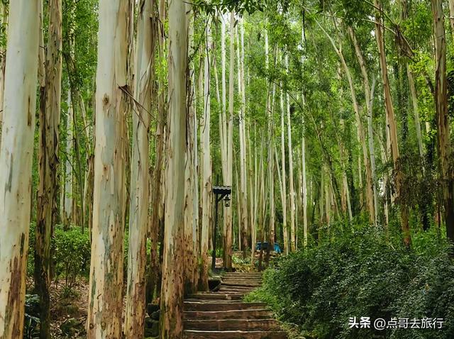 成都黄金徒步路线，公交直达起点，一处比一处惊艳，都不要门票！