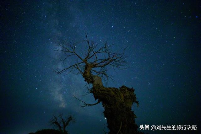 10月额济纳，金色胡杨林里，探寻中国最美秋天！