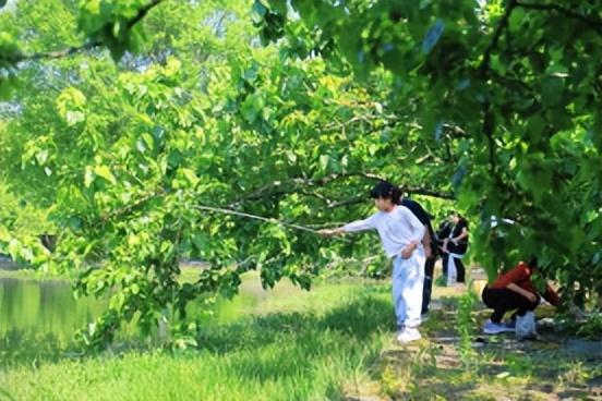 南昌凤凰沟第三届绣球主题活动启幕 五一摘桑果钓龙虾赏花海尽享田园趣