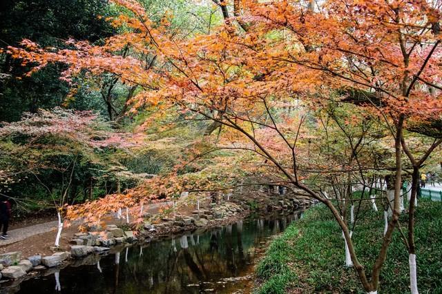 杭州地铁漫游指南：5个免费景点直达，体验不花钱的纯粹快乐