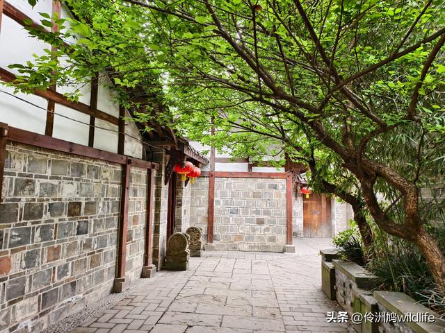 成都古镇（15）郫县唐昌古镇崇宁公园·大椿巷