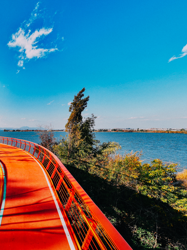 昆明冬日顶流回归！约起！