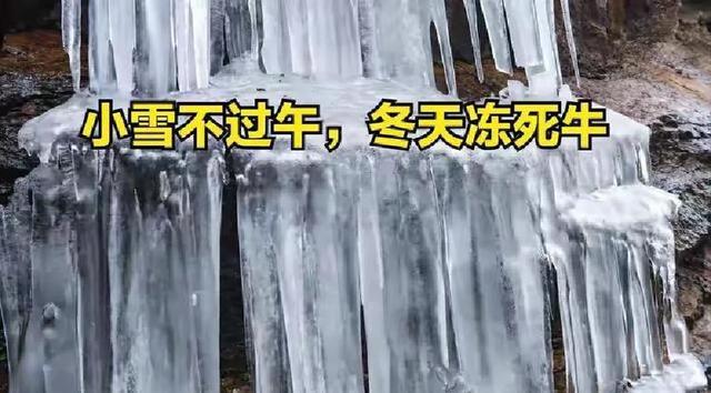 “小雪不过午	，冬天冻死牛”，明日小雪几点？今年冬天冷到哭吗？