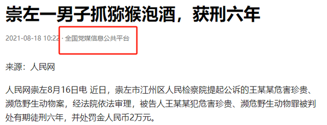 一只就定刑！2021年，广西男子甘蔗地捕获一只，用骨架泡酒