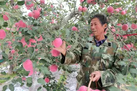 西峰区∶“龙头”引领乡村振兴图片
