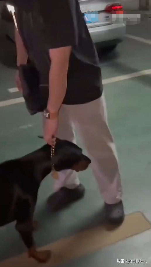 江苏杜宾犬飞扑幼童：事情已了结，当地人透露更多，女子身份可疑