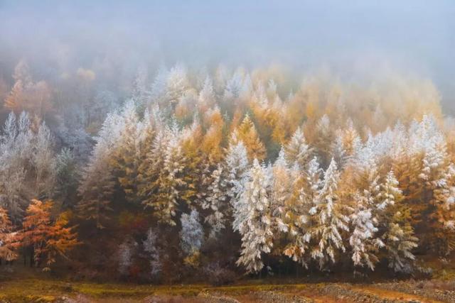【文明旅游】山西：五台山的秋天，太治愈了！