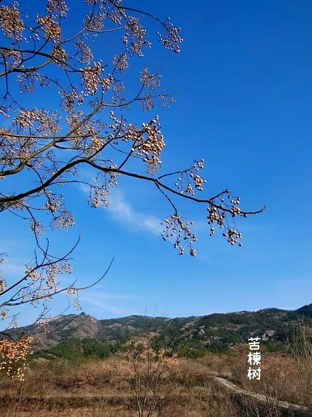 木兰古门的风光
