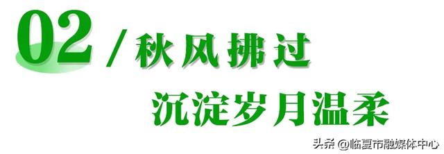 花都临夏市:晴有暖阳 云有絮语 风雨皆成风景