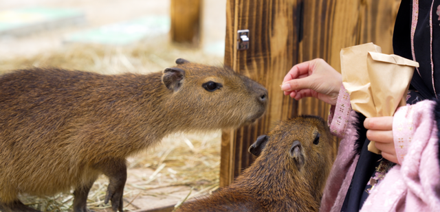 寻踪而至，“泉”是宝藏——临泉邀您解锁千年文化奇遇