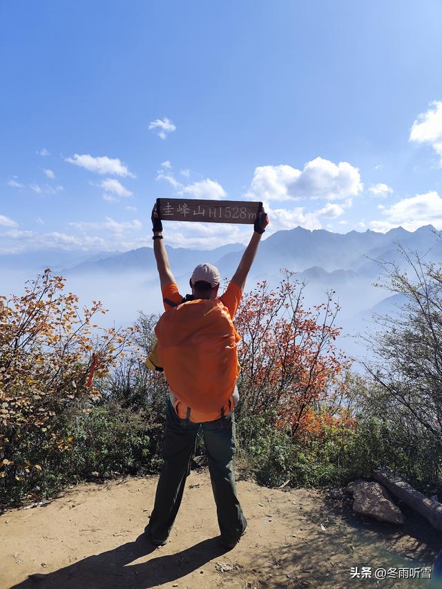 又见山山红叶飞
