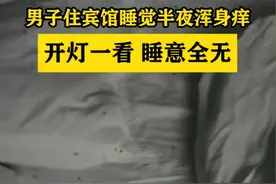 男子住宾馆开灯发现满床虫子，网友却直呼宾馆无辜图片