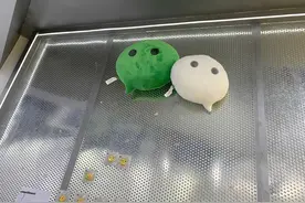 微信音乐和微信音频的天花板，可能相差很多图片